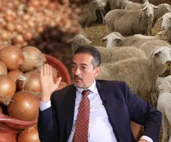 "النعجة بـ8000 درهم والخضرة غاتوصل لـ30 درهم".. المهاجري ينتقد تدبير القطاع الفلاحي ويحذر من استمرار ارتفاع الأسعار